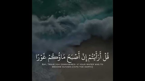 سورة الملك ، سعد الغامدي