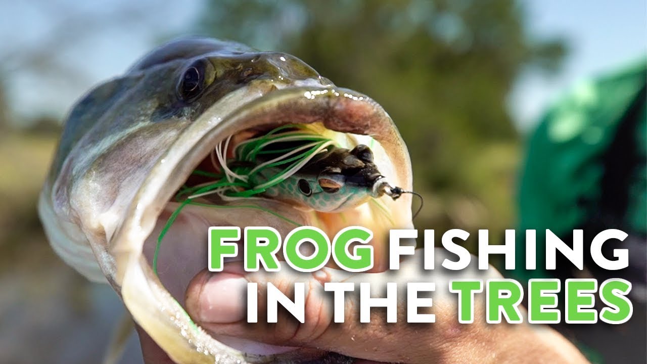 Simple Frog Modifications You Need To Try! 