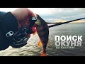 РЫБАЛКА НА КАСТИНГ BUDDY 240см, 9-35g. Ловля окуня на отводной поводок. Когда в ВОЛГЕ НЕТ ВОДЫ....