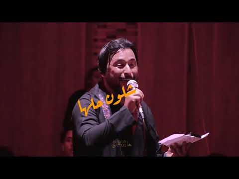 ها يروحي شلون بيه ملا عقيل الحريشاوي ملا بدر الخالدي هيئه محسن فاطمه مشاية مولاي أبا الرضا