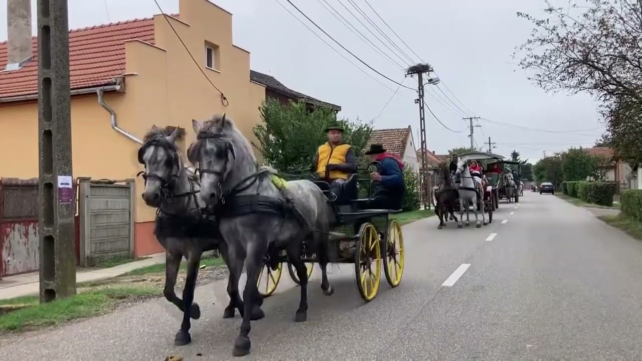 Szüreti felvonulás és falunap Hajdúszováton 2023