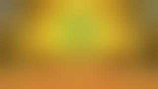 V250917FG16Z04LexCPE01