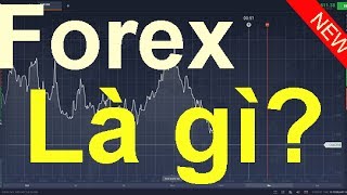 Forex là gì  khái niệm cơ bản về forex