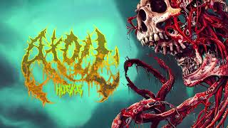 Atoll - Husks (Official Stream)