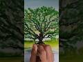 oak on the prairie Quercia nella prateria #tree #painting #oilpainting #creative