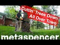 Cuttin' Trees Down All, Over, Town