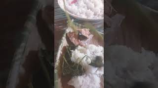lunchtimetoday shortviral short