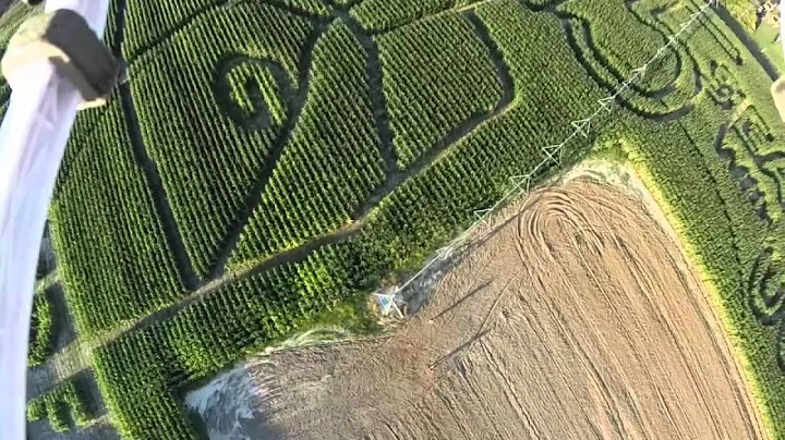 Aerial View of Mark Richt Corn Maze