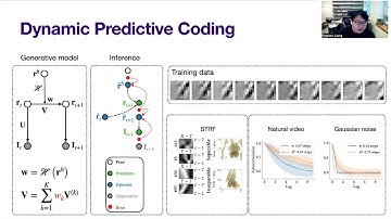 Learning Hierarchical Temporal Representations via Dynamic Predictive Coding