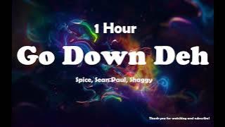Spice, Sean Paul, Shaggy - Go Down Deh ( 1 Hour )