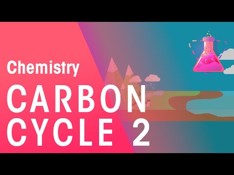What Is The Carbon Cycle - Part 2 | Environmental Chemistry | Chemistry | FuseSchool Instructional Video What Is The Carbon Cycle - Part 2 | Environmental Chemistry | Chemistry | FuseSchool Instructional Video