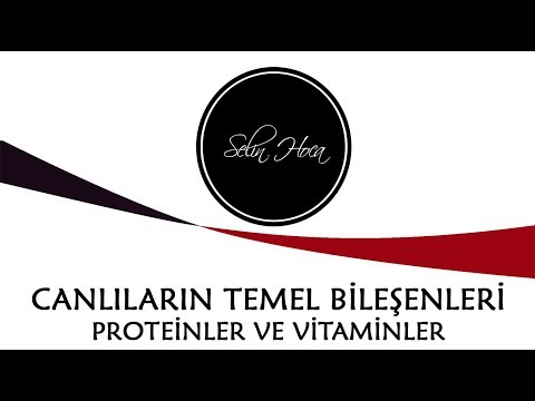 [ARŞİV] 5) Canlıların Temel Bileşenleri- Proteinler - Vitaminler - 9. Sınıf Biyoloji (TYT #5)