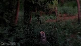 Download lagu Impacto - Enjambre //best part loop   ending// (Speed Up) 