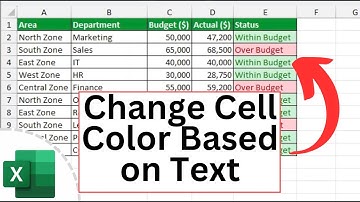 How to Change Cell color in Excel Based on Text Input | Color Code & Highlight Text in Excel