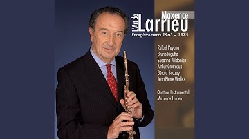 Franz Benda: Flute Concerto in E minor, LeeB 2.4: I. Allegro con brio