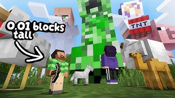 Minecraft but EVERYTHING is a RANDOM Size?!