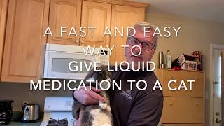 Fast and Easy Way of Giving Liquid Medication to Cats