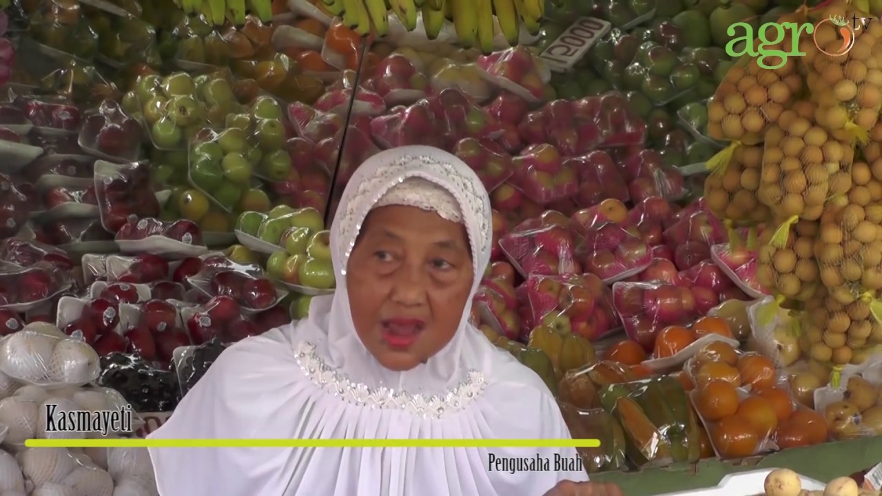 Agro TV - Gerai Buah, Untungnya Wah