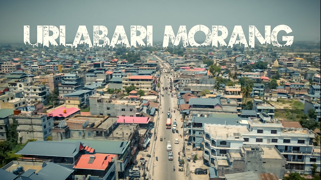 URLABARI MORANG ❤️😍 
