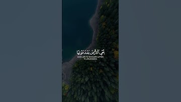 #تلاوات #تلاوت #تلاوة_خاشعة #قران_كريم #قرآن #ترتیل #quran #هزاع_البلوشي #ماهر_المعيقلي #عبدالرحمن_م