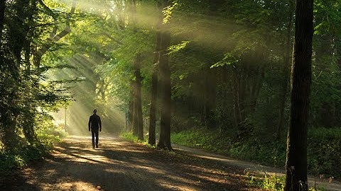 Mastering Detachment: A Modern Guide to Inner Peace