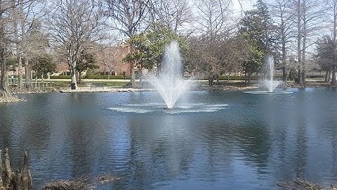 Calculating Normal Quantiles (TI-83/84)