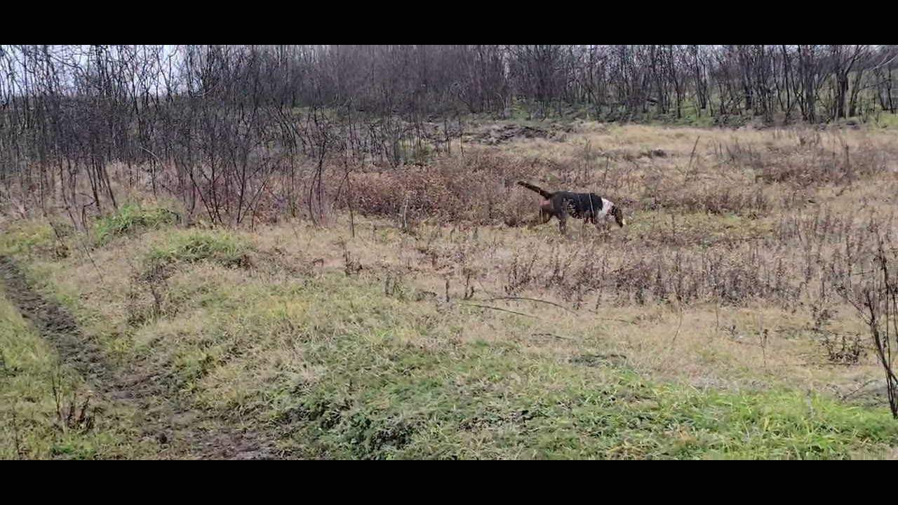 🐇 Trening na zeca DOKTORI 🐇