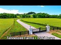 Tennessee Farms For Sale / 150 Ready to Roll Acres / Tennessee Land For Sale / Thompsons Luxury