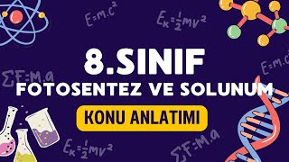 8.Sinif Fen Bi̇li̇mleri̇fotosentez Ve Solunumkonu Anlatimi .Sınıf