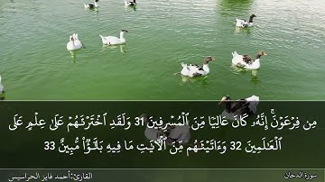الصفحة 497 سورة الدخان بصوت القارئ المهندس أحمد فايز الحراسيس
