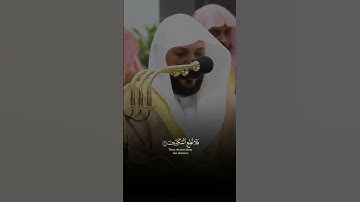 ما تيسر من سورة القلم 🎧🤍 #قرآن #قران_كريم #ماهر_المعيقلي #سورة_القلم #المصحف #تلاوة_خاشعة