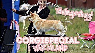 HUNDUTSTÄLLNING - Corgis i Värmland 2021 - Lowis tävlar