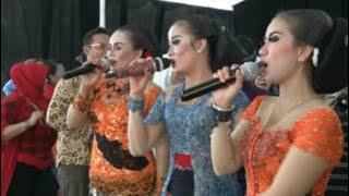 Bojo Loro By Pendopo Kang Dimas Tedjo Crew Chikal Bergoyang