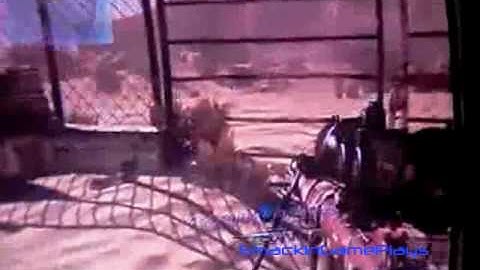 Modern Warfare 2 Game Winning Kill 360 No Scope