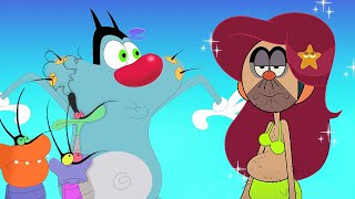 Oggy And the Cockroaches, Zig & Sharko, Where's Chicky ! 🤩 New Cartoon Compilation