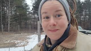 Homesteading Video #1 | Logging to create an Orchard | 2023