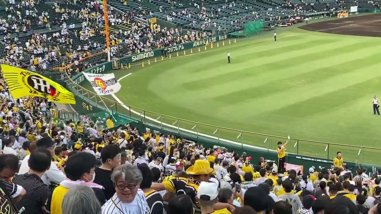 #ウル虎の夏#7/24#阪神タイガース#ペア#ライトスタンド