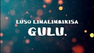 Pakams x Pres-P Ft Sean Morgan - Ndidzagenda Challenge ( Lyrical Video)