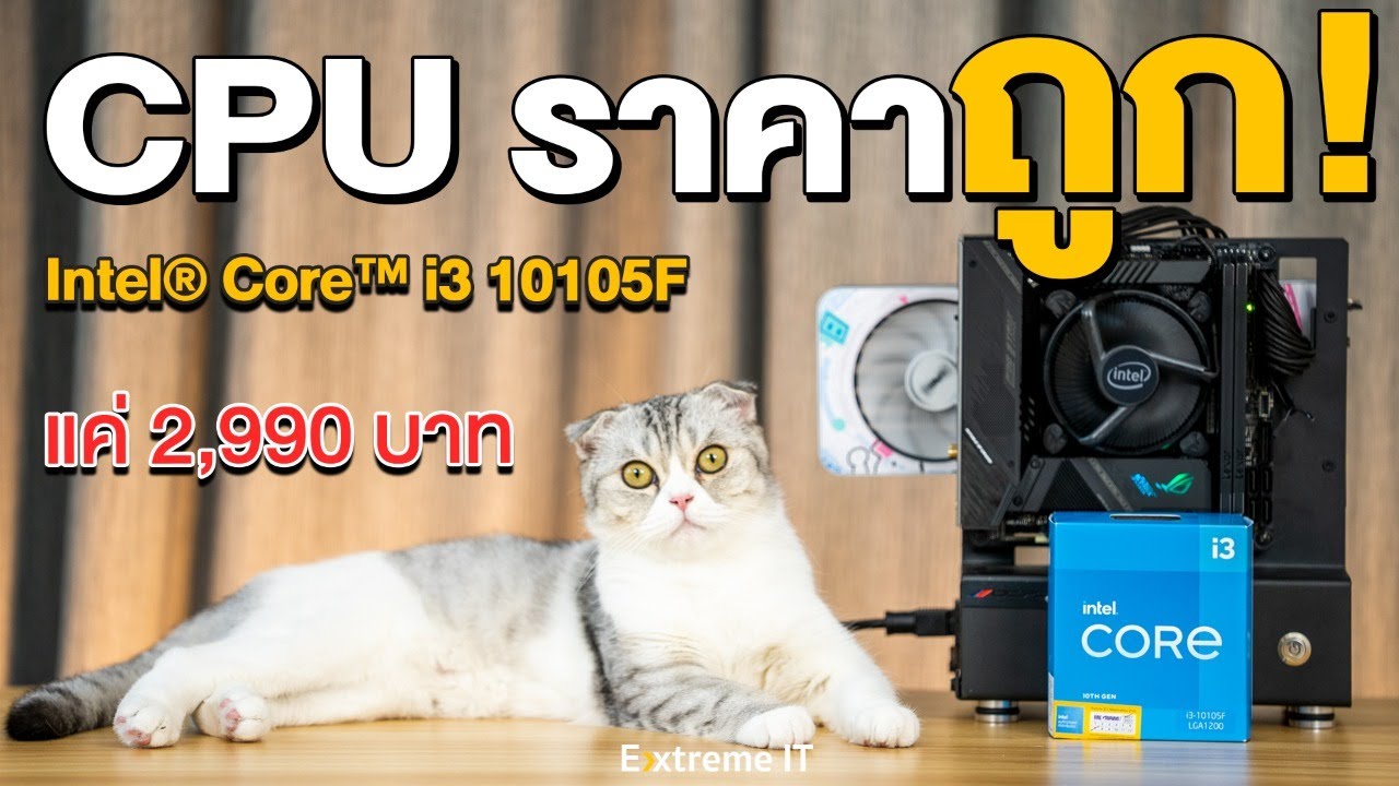 รีวิว Intel Core i3 10105F แรงเทียบเท่า i7 7700K ในราคาถูกกว่า !!