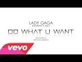 Lady Gaga - Do What U Want ft. R. Kelly (OFFICIAL VIDEO) LEAK