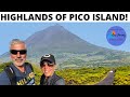 We are celebrating - In the Highlands of Pico Island Azores. Getting out into nature