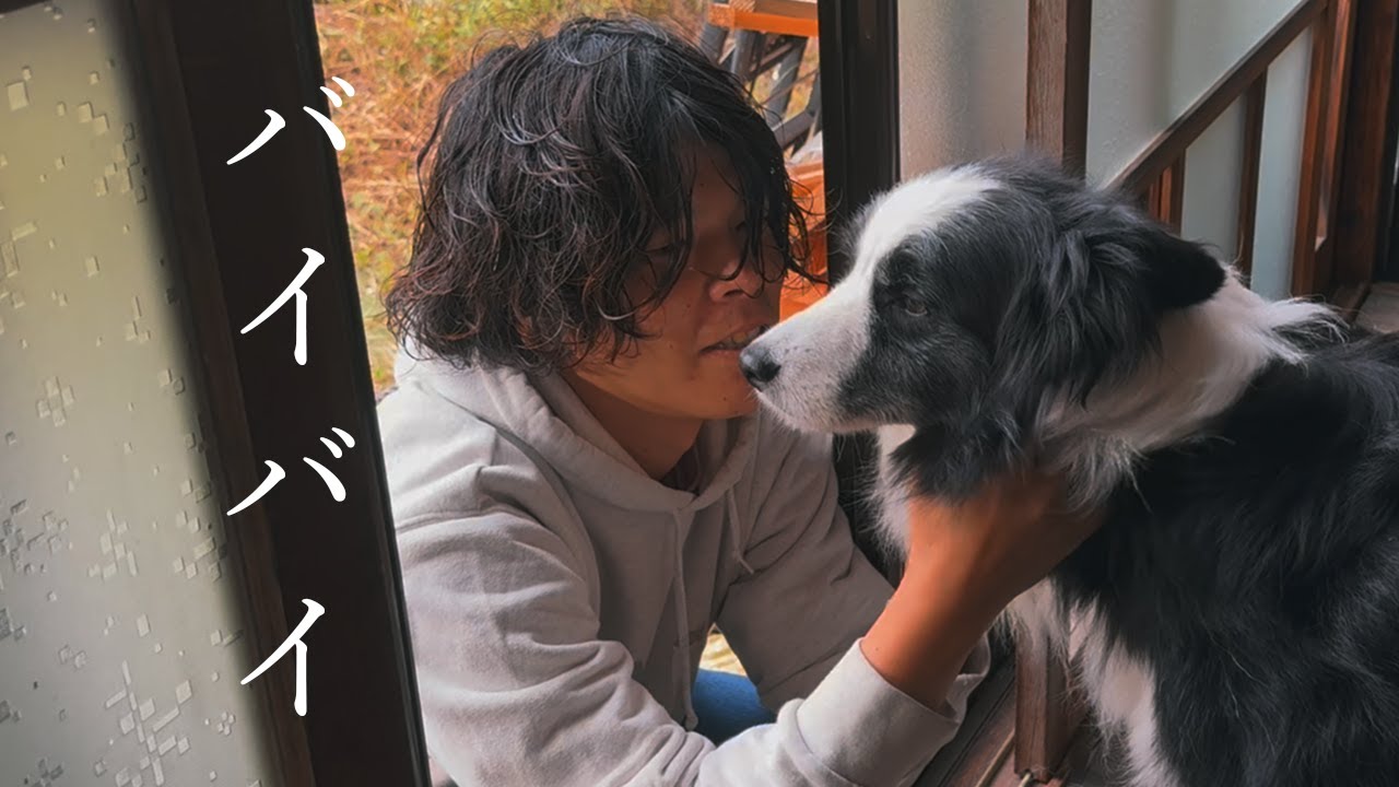 【涙】犬を４日間家に置き去りにしてしまいました…