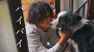 【涙】犬を４日間家に置き去りにしてしまいました…
