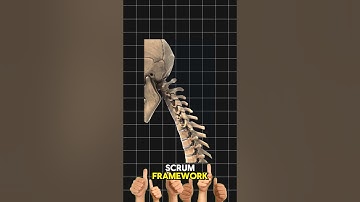 Scrum Roles in 60 Seconds: Unlock Agile Mastery with The Agile Forum!