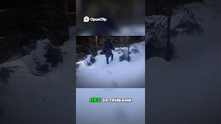 Уклонисты: Побег из Украины, Цена и Последствия #shorts