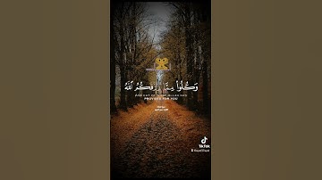 سورة المائدة يا أيها الذين آمنوا لا تحرموا طيبات ما احل الله لكم سعود الشريم