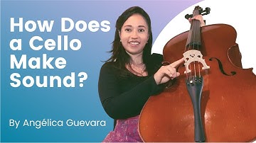 How Does a Cello Make Sound? #cello #celloteacher