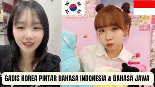 Cewek Korea Pintar Bahasa Indonesia Dan Bahasa Jawa