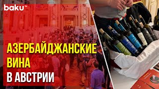 На Крупнейшей Выставке «Vievinum 2024» Рассказали О Развитии Винодельческого Сектора Азербайджана