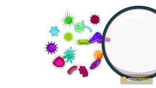 You have the microbiome you deserve